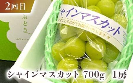 【先行予約令和8年発送】 みちのく“秋色”定期便 全4回 もも モモ 桃 デザート フルーツ 果物 くだもの 果実 食品 山形県 FSY-2663