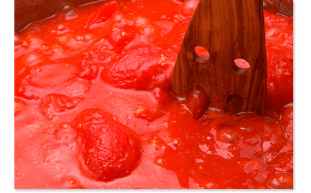 トマト パスタソース アラビアータ 6瓶 備蓄 トマトソース レトルト レトルト レトルト レトルト J59