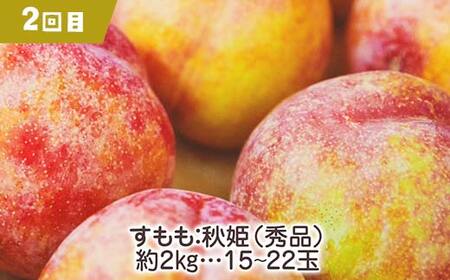 【2026年先行受付】《定期便3回》元気の郷 中山町フルーツ定期便 ～3品食べ比べ～ 白桃 秋姫 ラ・フランス 桃 もも モモ 梨 洋ナシ 洋梨 すもも スモモ 山形県産 フルーツ 果物 くだもの F4A-0394