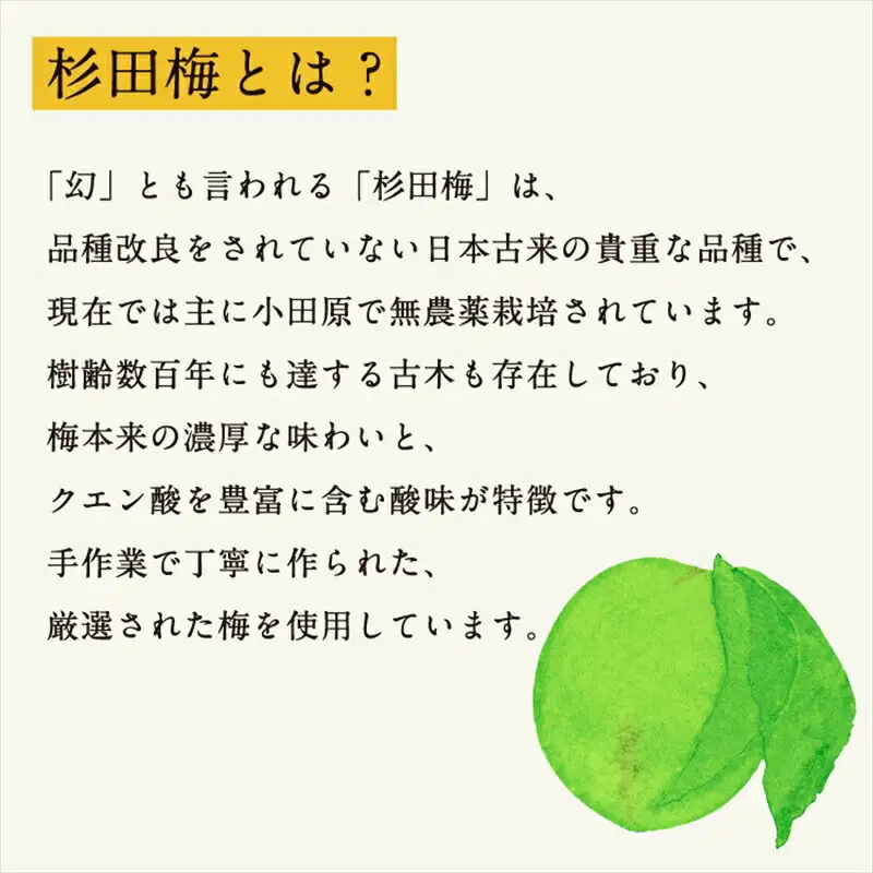【３本セット】濃厚梅エキスと漢方のシロップ「うめびん（杉田梅） by Kampo Kitchen」【 家庭用 自宅用 贈答品 贈答用 ギフト お取り寄せ お中元 お歳暮 贈り物 お祝い 神奈川県 小田原市 梅 梅】