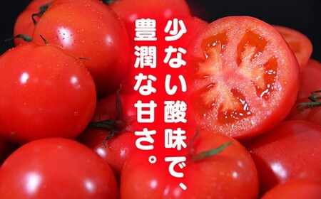 【特別栽培農産物】訳あり 大玉 ソムリエトマト 約3kg～5kg |  ミニトマト トマト 野菜 熊本県 玉名市