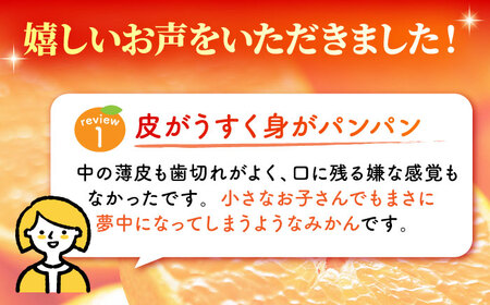 【先行予約】完熟 青島 みかん 約5kg【合同会社 社方園】九州産みかん ミカン 柑橘  国産  山鹿 果物 フルーツ [ZBZ003]