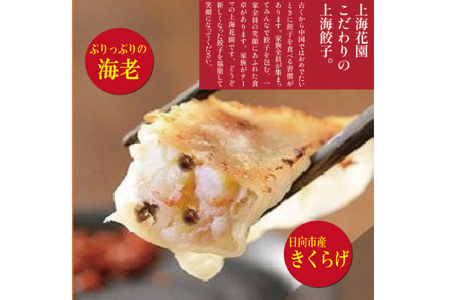 海老餃子 きくらげ入り 10×3 計30個 [サニーガーデン 宮崎県 日向市 452060640]