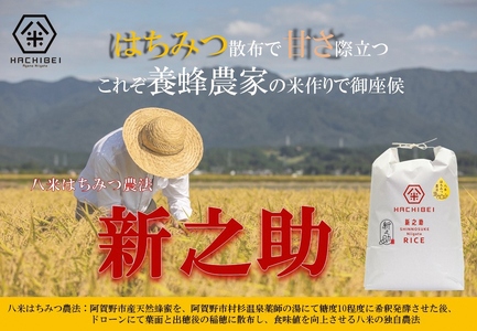 【令和7年産】【環境大臣賞受賞】【特別賞受賞】 3ヶ月定期便 無洗米 新之助 10kg×3回 計30kg 農家直送 ほんのり甘い「はちみつ農法」 白米 精米 HACHIBEI 八米 新潟県、米、こめ、コメ 1L25073