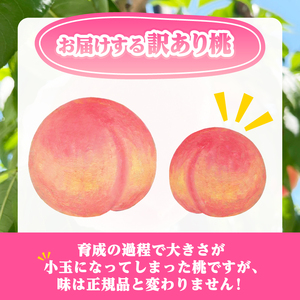 【訳あり】桃5～9玉2kg以上【2026年発送】（AGB）A09-876 桃 フルーツ