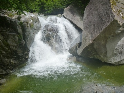 気象予報士・藤田紳一と行く尾白川渓谷トレッキングチケット [h227]