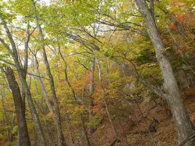 気象予報士・藤田紳一と行く瑞牆山登山ツアーチケット [h227]
