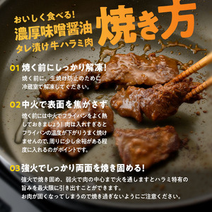 濃厚味噌醤油 タレ漬け牛ハラミ(サガリ)肉 小分け 個包装で便利！ (合計1.2kg・300g×4p) 牛肉 焼くだけ 簡単 焼肉 焼き肉 やきにく 厚切り 肉厚 冷凍 BBQ 希少部位 【BD300】【西日本畜産 (株)】