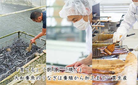 浜名湖うなぎ蒲焼（小丼用）計370g 【訳あり】サイズ不揃い7～9袋 加工品 養殖 老舗 手焼き 百貨店 ギフト カット 湯せん レンジ 美味しい 冷凍 食べきり 便利 簡単 調理 土用の丑の日 静岡県 浜松市 