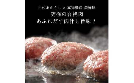創業50年老舗レストランの幻の和牛あかうしハンバーグ130g×32コ＋特製デミソース×8袋、特製トマトソース×8袋 数量限定