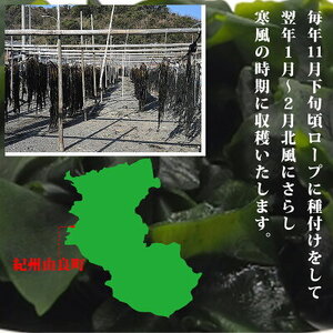 BB6056_紀州衣奈産 乾燥わかめ 150g×5パック (2026年産)