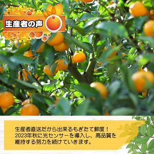 有田 みかん 大玉3L以上 10kg 光センサー / 温州みかん 有田みかん 甘い 和歌山 柑橘 ※2026年11月中旬～12月下旬に順次発送 ※北海道・沖縄・離島地域は発送不可 【nuk004-l-10C】