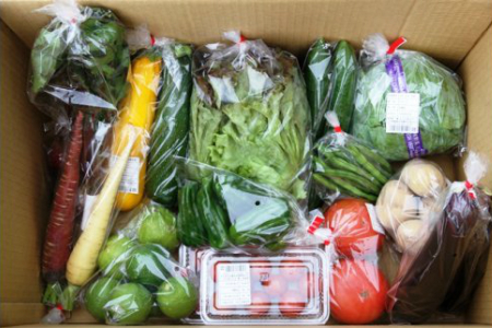 国東の旬野菜＆フルーツの詰合せ _1029R