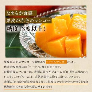 【2026年7月下旬より発送】【先行予約】平均糖度13度以上！アップルマンゴー約2kg（4~5玉）| マンゴー