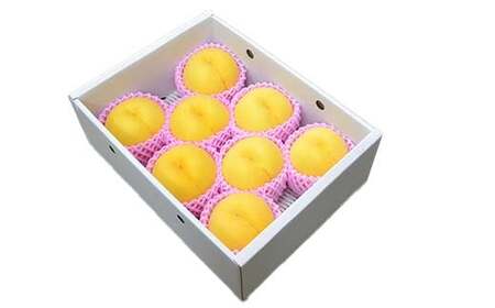 【2026年産 先行予約】山形県産 黄桃 秀品 3kg（8～12玉前後） もも モモ 桃 デザート フルーツ 果物 くだもの 果実 食品 山形県 FSY-2203