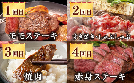 【全12回定期便】《50万》 壱岐牛＆長崎和牛 ギュギュギュ 定期便 （壱）《壱岐市》 肉 ステーキ 焼肉 しゃぶしゃぶ すき焼き 赤身 [JZX010]