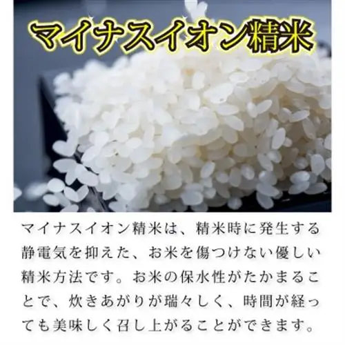 奥能登コシヒカリ「門前米」10kg(5kg2袋)_ 精米 米    コシヒカリ 米 こしひかり_【1469650】