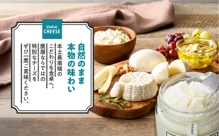 1128 フレッシュチーズ6種/ギリシャヨーグルトセット KN087-002 チーズ