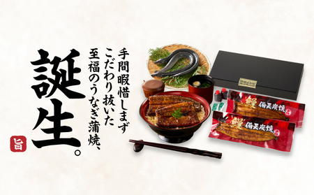 【 土用の丑の日特集 】 1744-1 うなぎ問屋 の 備長炭手焼 うなぎ蒲焼 特大 2尾 400g KN029-001-02 魚 冷凍 鰻