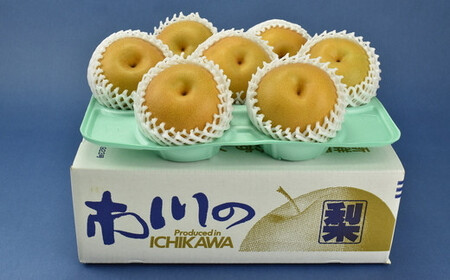市川のブランド梨「豊水」大玉　約3kg（5～8玉）　【12203-0039】