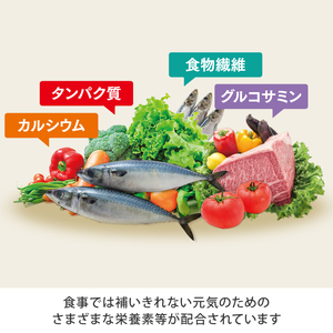 からだの素となるたんぱく質や栄養素が気軽に摂れる健康食品「からだの素材」×3か月分 