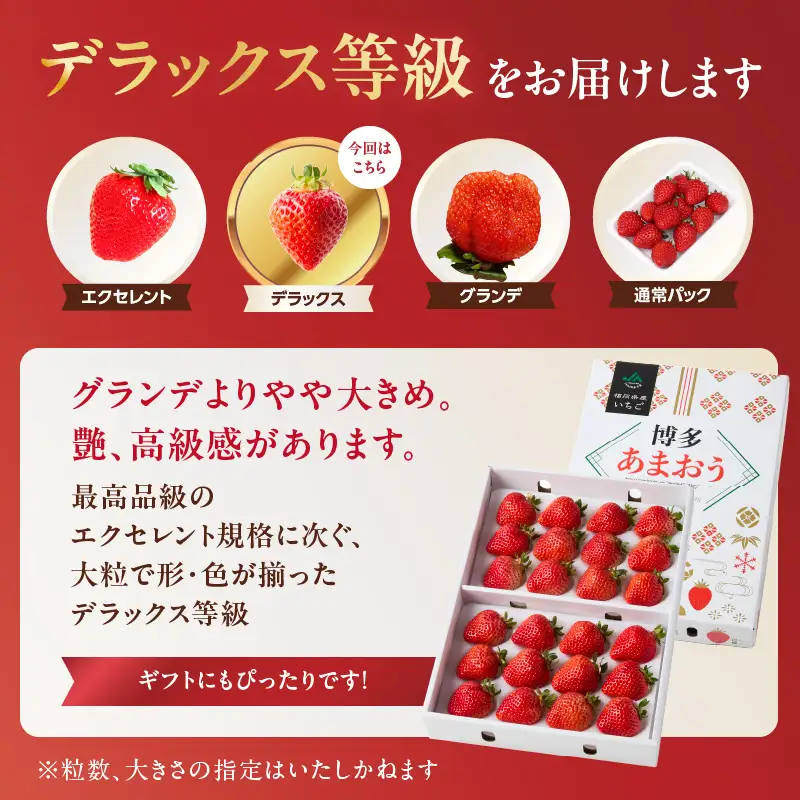 博多あまおう700g＆博多甘熟娘キウイ1.8kgセット（化粧箱）【2027年1月発送開始】 あまおう いちご 苺 イチゴ キウイフルーツ 果物 くだもの フルーツ セット アフター補償 ギフト 化粧箱入り 贈答品 プレゼント 贈り物 数量限定 期間限定 産地直送 福岡県 八女市 002-021