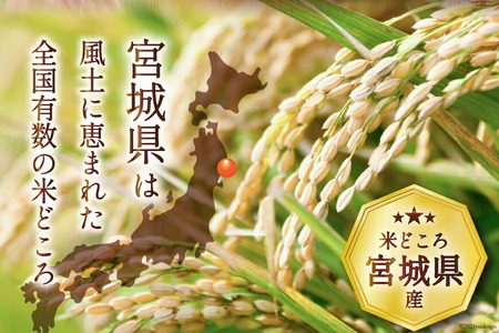 米 令和7年産 だて正夢 5kg [宮城県 気仙沼市 20565768] だて正夢
