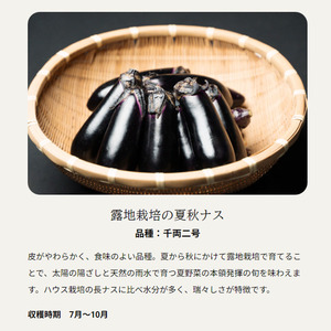 ナスの収穫体験チケット2名様 