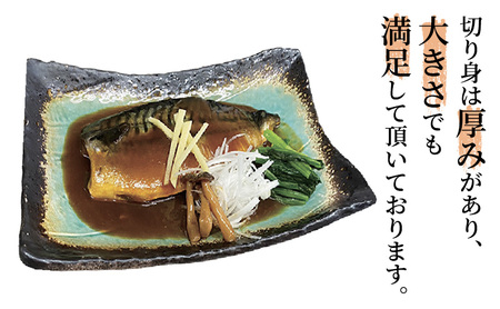 さば味噌煮　2枚セット　1枚200g～ 魚貝類 惣菜 冷凍 和食 煮魚 おかず 甘辛い おふくろの味 簡単調理 時短 便利 