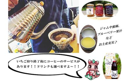 いちご狩り2名用チケット 体験チケット フルーツ狩り 親子 子連れ ファミリー 食べ比べ お出かけ 