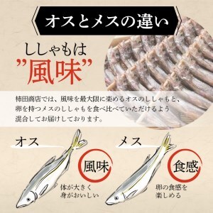 本場くしろ産 ししゃもオス・メス30尾入り！ 本ししゃも 魚 ししゃも 魚好きのオス プチプチたまごのメス 魚介 グルメ シシャモ 北海道産 国産 魚 魚介 海の幸 F4F-9164