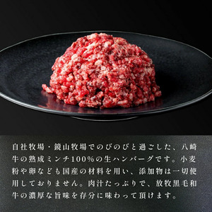 八崎牛のハンバーグ120g×5個【贈答向け】 N0105-YZA596