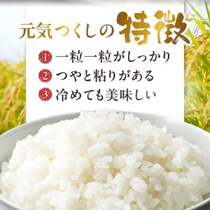 金のめし丸元気つくし 5kg 令和7年産_ 白米 お米 〔Gr045〕
