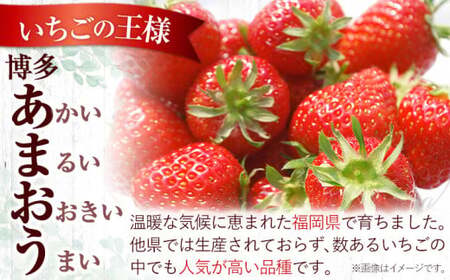 先行予約 あまおう 1080g いちご