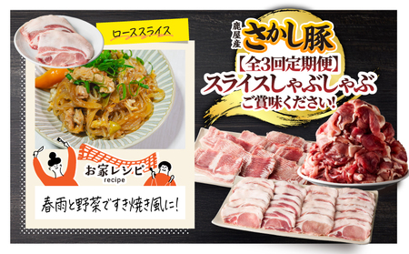 2166【 全3回 定期便 / 偶数月 配送 】鹿屋産 さかし豚 スライス しゃぶしゃぶ  3回 合計 5.8kg KN079-T03 肉 豚肉