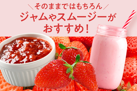 ふくおかエコ農作物認証あまおう G以上 2箱セット あまおう イチゴ 苺 いちご フルーツ 果物 くだもの 福岡県産 お取り寄せグルメ お取り寄せ 福岡 お土産 九州 福岡土産 取り寄せ グルメ 福岡県