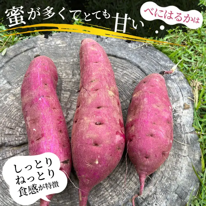 坂東市産　冷凍焼きいも　紅はるか2kg No.528