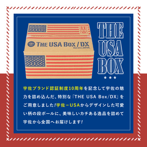 ＜期間限定＞故郷のお祝いセット THE USA Box/DX(10品)詰め合わせ 手ごね味噌 黒煮豆 はちまんの恵 黒豆きな粉 高菜漬け 鶏めし ねぎねぎ団味噌 やせうま とりちん 宇佐勝ちえび ゆずぽん酢 宇佐ブランド認証品【114000800】【一般社団法人　地域商社USA】