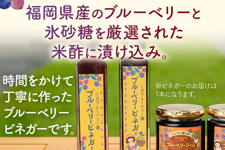 ブルーベリージャム (2個)＆ ビネガー(1本) セット ブルーベリー ビネガー ジャム パン お酢 酢 朝食 かき氷果実酢 お取り寄せグルメ お取り寄せ 福岡 お土産 九州 福岡土産 取り寄せ グルメ 福岡県