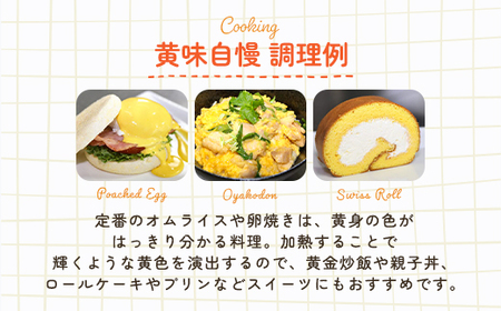 ＜SUPERIOR TASTE AWARD 受賞＞黄味自慢 (10個入り×24パック) ふるさと納税 福知山市 卵 玉子 たまご 生卵 タマゴ 温泉卵 卵かけご飯 TKG 卵料理 お菓子づくり オムライス プリン 弁当 国産 【fc-BX008】【グリーンファームソーゴ】