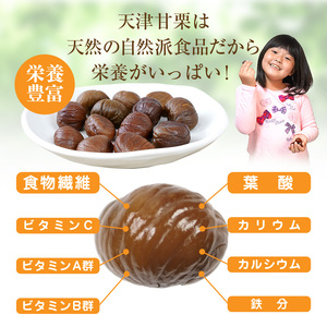 天津甘栗 2.5kg 栗 HJ-03 くり クリ 甘栗 天津甘栗