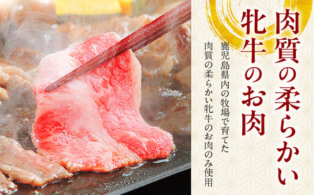 黒毛和牛赤身スライス 600g 【風呂敷包み】 K098-015_02 肉 牛肉 冷凍