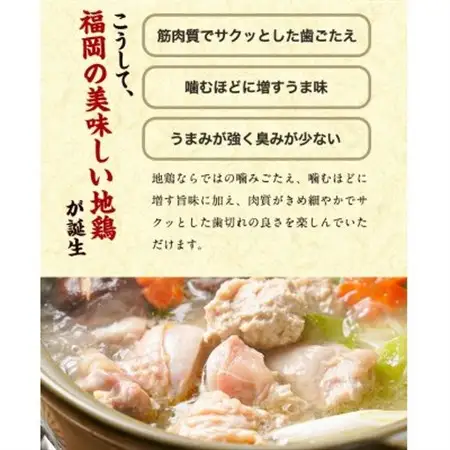 福岡限定!はかた地どり美人水炊き5種セット　2～3人前_肉 水炊き 鶏肉 鍋 鍋セット  肉 地鶏 鶏肉   惣菜・加工品 肉 鍋 なべ ナベ_【配送不可地域：離島】【1466467】