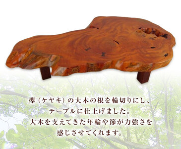 ケヤキ輪切り ローテーブル 