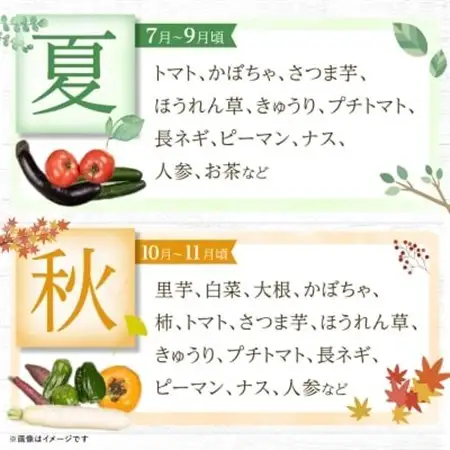 季節の野菜 詰め合わせ「スペシャルコース」_菓子・スイーツ 和菓子    果物・フルーツ 柿（カキ）  かき  野菜 ねぎ  ネギ 葱  野菜 アスパラガス    野菜 さつまいも いも サツマイモ 薩摩芋  野菜  いも イモ 芋  野菜  トマト   野菜 人参 根菜 にんじん ニンジン  野菜 大根 根菜 だいこん ダイコン  野菜 かぼちゃ  カボチャ 南瓜  野菜 茄子  なす ナス  野菜     飲料・ドリンク 茶葉・ティーバッグ 茶   麺  そうめん   惣菜・加工品  漬物 _【配送不可地域：離島】【1469460】