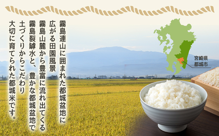 みやこんじょ育ち都城産ひのひかり10kg≪みやこんじょ特急便≫_31-K701-Q_(都城市) 都城産 ひのひかり 10kg 5kg×2袋 田園 霧島裂罅水 土づくり こだわり 都城米 甘み 旨味 粘り 香り 米 旨味 白米 ごはん