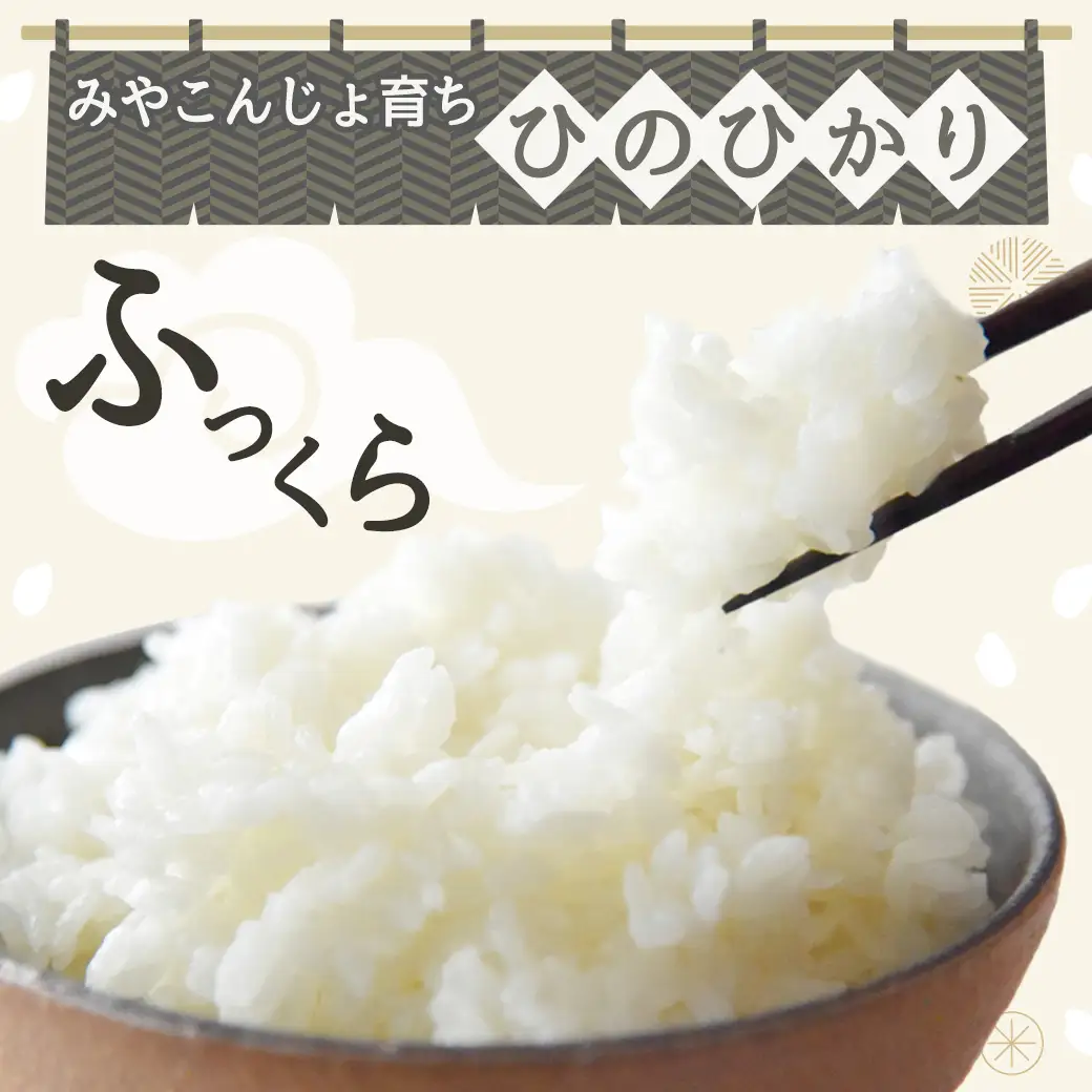 みやこんじょ育ち都城産ひのひかり20kg≪みやこんじょ特急便≫〔55-K701-Q〕_(都城市) 都城産 ひのひかり 20kg 5kg×4袋 田園 霧島裂罅水 土づくり こだわり 都城米 甘み 旨味 粘り 香り 米 旨味 白米 ごはん