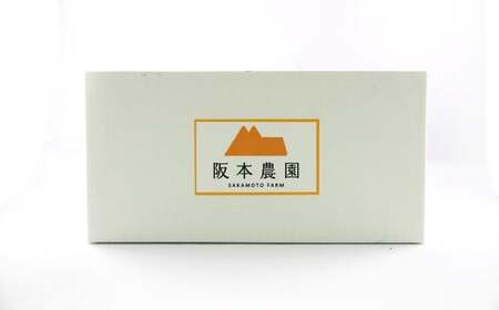 濃厚かぼちゃプリン 6個入り 洋菓子 スイーツ デザート 冷凍