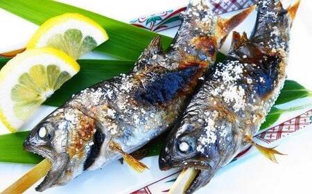 奥阿蘇 やまめ 3種 マススモーク 1種 計4種 渓流 セット