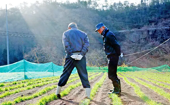 もち麦 キラリモチ 200g パック 3個 セット岡山 高梁市 宇治町産 米 